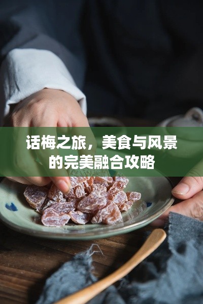 话梅之旅，美食与风景的完美融合攻略