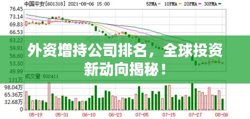 外资增持公司排名，全球投资新动向揭秘！