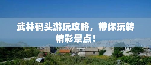 武林码头游玩攻略，带你玩转精彩景点！
