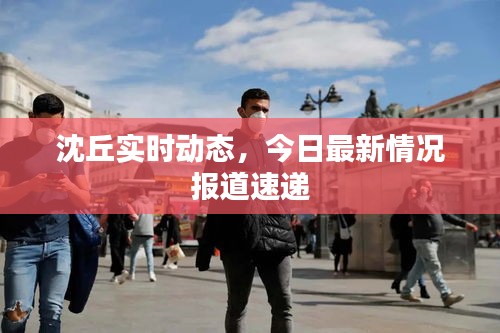 沈丘实时动态，今日最新情况报道速递