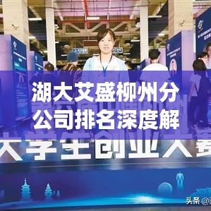 湖大艾盛柳州分公司排名深度解析