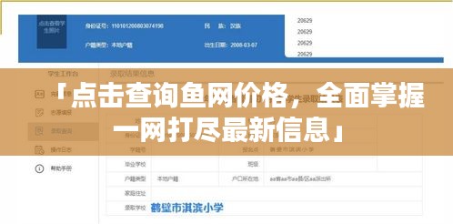 「点击查询鱼网价格，全面掌握一网打尽最新信息」