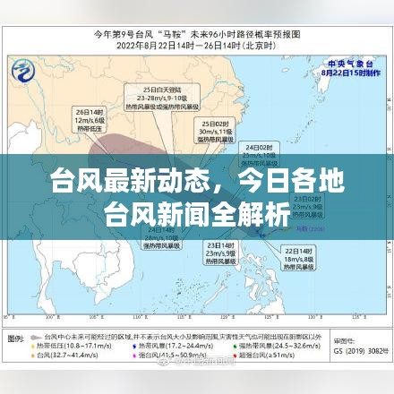 台风最新动态，今日各地台风新闻全解析