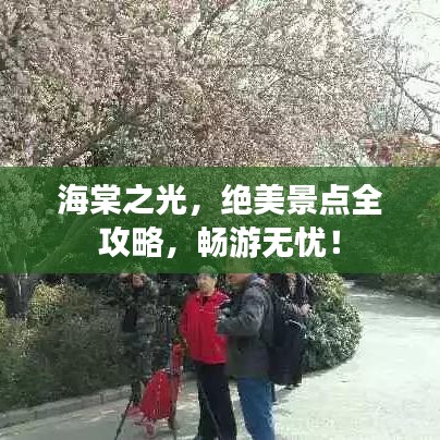 海棠之光，绝美景点全攻略，畅游无忧！