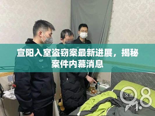 宣阳入室盗窃案最新进展，揭秘案件内幕消息