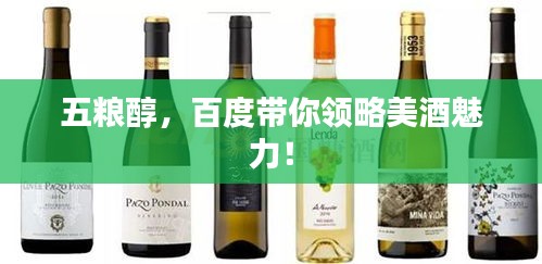五粮醇，百度带你领略美酒魅力！