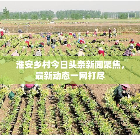 淮安乡村今日头条新闻聚焦，最新动态一网打尽