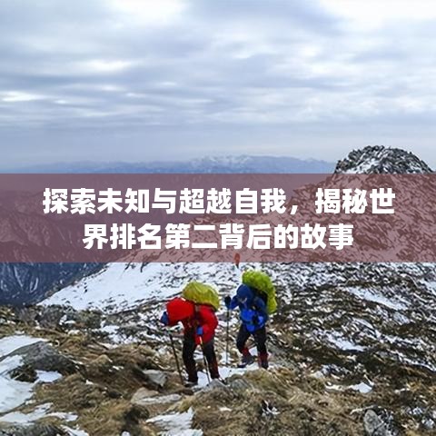 探索未知与超越自我，揭秘世界排名第二背后的故事