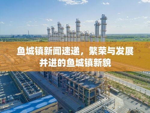 鱼城镇新闻速递，繁荣与发展并进的鱼城镇新貌