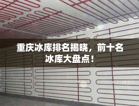重庆冰库排名揭晓，前十名冰库大盘点！