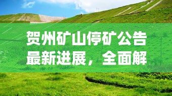 贺州矿山停矿公告最新进展，全面解读停矿动态，最新资讯一网打尽