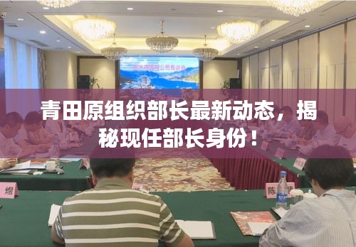 青田原组织部长最新动态，揭秘现任部长身份！
