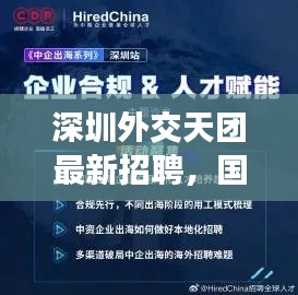 深圳外交天团最新招聘，国际化人才新机遇探寻！