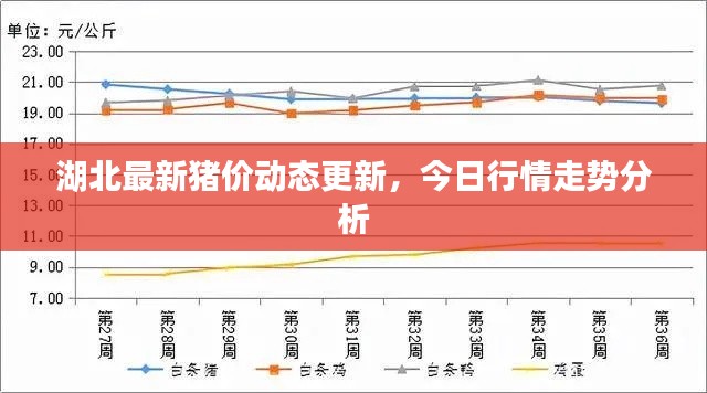 湖北最新猪价动态更新，今日行情走势分析