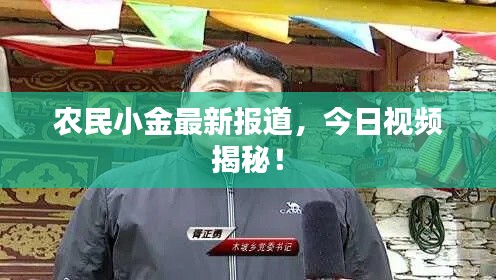 农民小金最新报道，今日视频揭秘！