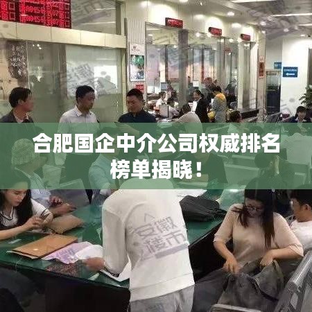 合肥国企中介公司权威排名榜单揭晓！