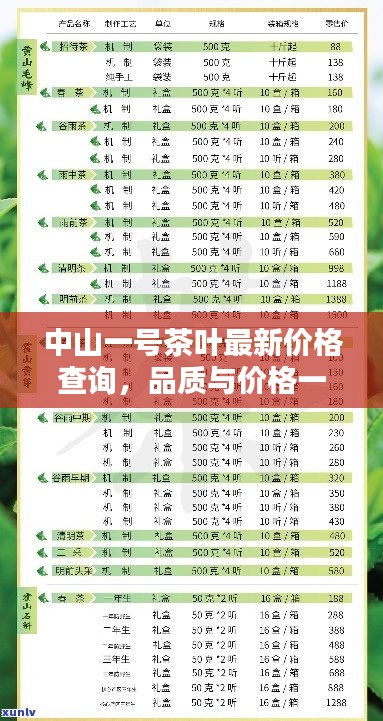 中山一号茶叶最新价格查询，品质与价格一览