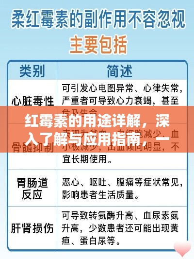 红霉素的用途详解，深入了解与应用指南，一网打尽！