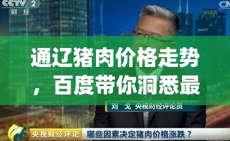 通辽猪肉价格走势，百度带你洞悉最新市场动态！