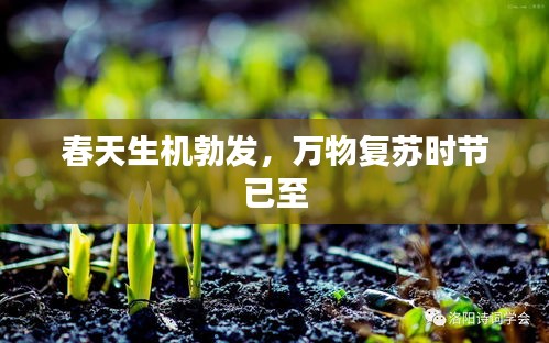 春天生机勃发，万物复苏时节已至