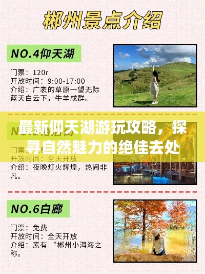 最新仰天湖游玩攻略，探寻自然魅力的绝佳去处