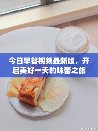 今日早餐视频最新版，开启美好一天的味蕾之旅