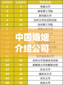 中国婚姻介绍公司排名大揭秘，专业婚恋服务哪家强？
