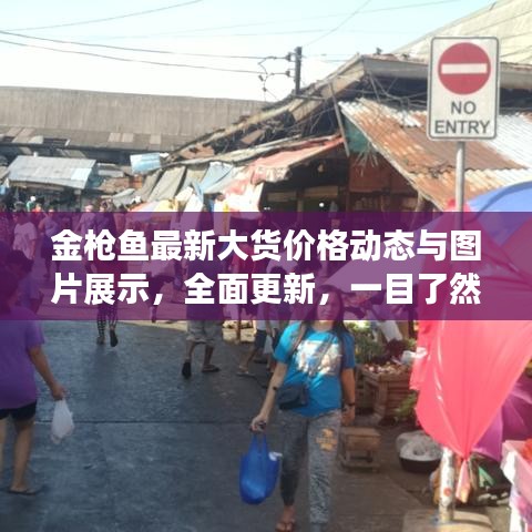 金枪鱼最新大货价格动态与图片展示，全面更新，一目了然