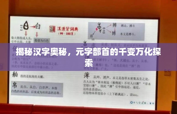 2025年6月29日